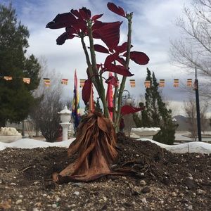 Meet your Posher, Katy